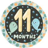 Baby 11 Months Edible Cake Toppers Round